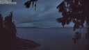 ./images/koeye/fitz-hugh/20260725/fitz-hugh20260725_050502M.jpg