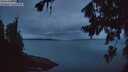 ./images/koeye/fitz-hugh/20260725/fitz-hugh20260725_051502M.jpg