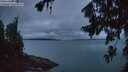 ./images/koeye/fitz-hugh/20260725/fitz-hugh20260725_052001M.jpg