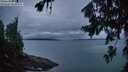 ./images/koeye/fitz-hugh/20260725/fitz-hugh20260725_052501M.jpg