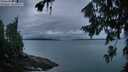 ./images/koeye/fitz-hugh/20260725/fitz-hugh20260725_053001M.jpg