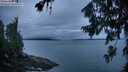 ./images/koeye/fitz-hugh/20260725/fitz-hugh20260725_053501M.jpg