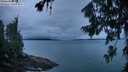./images/koeye/fitz-hugh/20260725/fitz-hugh20260725_054001M.jpg