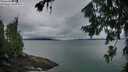 ./images/koeye/fitz-hugh/20260725/fitz-hugh20260725_055502M.jpg