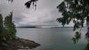 ./images/koeye/fitz-hugh/20260725/fitz-hugh20260725_060002M.jpg