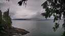 ./images/koeye/fitz-hugh/20260725/fitz-hugh20260725_062502M.jpg