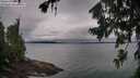 ./images/koeye/fitz-hugh/20260725/fitz-hugh20260725_063002M.jpg