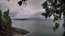./images/koeye/fitz-hugh/20260725/fitz-hugh20260725_063501M.jpg