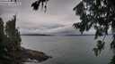 ./images/koeye/fitz-hugh/20260725/fitz-hugh20260725_070002M.jpg