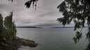 ./images/koeye/fitz-hugh/20260725/fitz-hugh20260725_073501M.jpg