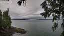 ./images/koeye/fitz-hugh/20260725/fitz-hugh20260725_074001M.jpg