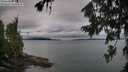 ./images/koeye/fitz-hugh/20260725/fitz-hugh20260725_075502M.jpg