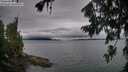 ./images/koeye/fitz-hugh/20260725/fitz-hugh20260725_080002M.jpg
