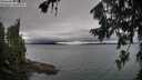 ./images/koeye/fitz-hugh/20260725/fitz-hugh20260725_081001M.jpg