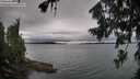 ./images/koeye/fitz-hugh/20260725/fitz-hugh20260725_081501M.jpg