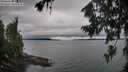 ./images/koeye/fitz-hugh/20260725/fitz-hugh20260725_083001M.jpg