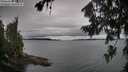 ./images/koeye/fitz-hugh/20260725/fitz-hugh20260725_085001M.jpg