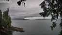 ./images/koeye/fitz-hugh/20260725/fitz-hugh20260725_090001M.jpg