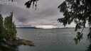 ./images/koeye/fitz-hugh/20260725/fitz-hugh20260725_094001M.jpg