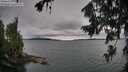 ./images/koeye/fitz-hugh/20260725/fitz-hugh20260725_102501M.jpg