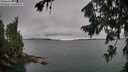 ./images/koeye/fitz-hugh/20260725/fitz-hugh20260725_103001M.jpg