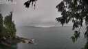 ./images/koeye/fitz-hugh/20260725/fitz-hugh20260725_104001M.jpg