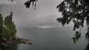 ./images/koeye/fitz-hugh/20260725/fitz-hugh20260725_104502M.jpg