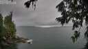 ./images/koeye/fitz-hugh/20260725/fitz-hugh20260725_105002M.jpg