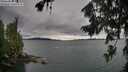 ./images/koeye/fitz-hugh/20260725/fitz-hugh20260725_113001M.jpg