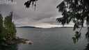 ./images/koeye/fitz-hugh/20260725/fitz-hugh20260725_113501M.jpg