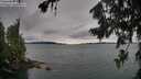 ./images/koeye/fitz-hugh/20260725/fitz-hugh20260725_114001M.jpg