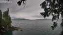 ./images/koeye/fitz-hugh/20260725/fitz-hugh20260725_115001M.jpg