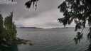 ./images/koeye/fitz-hugh/20260725/fitz-hugh20260725_115502M.jpg