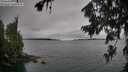 ./images/koeye/fitz-hugh/20260725/fitz-hugh20260725_120501M.jpg