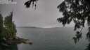 ./images/koeye/fitz-hugh/20260725/fitz-hugh20260725_124002M.jpg