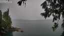 ./images/koeye/fitz-hugh/20260725/fitz-hugh20260725_125501M.jpg