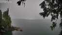 ./images/koeye/fitz-hugh/20260725/fitz-hugh20260725_130001M.jpg