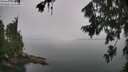 ./images/koeye/fitz-hugh/20260725/fitz-hugh20260725_143002M.jpg