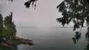 ./images/koeye/fitz-hugh/20260725/fitz-hugh20260725_144501M.jpg