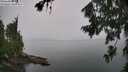 ./images/koeye/fitz-hugh/20260725/fitz-hugh20260725_153501M.jpg