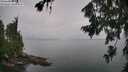./images/koeye/fitz-hugh/20260725/fitz-hugh20260725_160501M.jpg