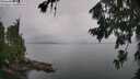 ./images/koeye/fitz-hugh/20260725/fitz-hugh20260725_161002M.jpg