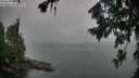 ./images/koeye/fitz-hugh/20260725/fitz-hugh20260725_163002M.jpg