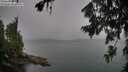 ./images/koeye/fitz-hugh/20260725/fitz-hugh20260725_164001M.jpg