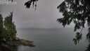 ./images/koeye/fitz-hugh/20260725/fitz-hugh20260725_165002M.jpg