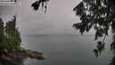 ./images/koeye/fitz-hugh/20260725/fitz-hugh20260725_171502M.jpg