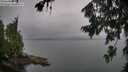 ./images/koeye/fitz-hugh/20260725/fitz-hugh20260725_172002M.jpg