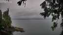 ./images/koeye/fitz-hugh/20260725/fitz-hugh20260725_172501M.jpg