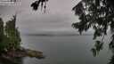 ./images/koeye/fitz-hugh/20260725/fitz-hugh20260725_173001M.jpg