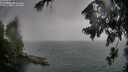 ./images/koeye/fitz-hugh/20260725/fitz-hugh20260725_180501M.jpg